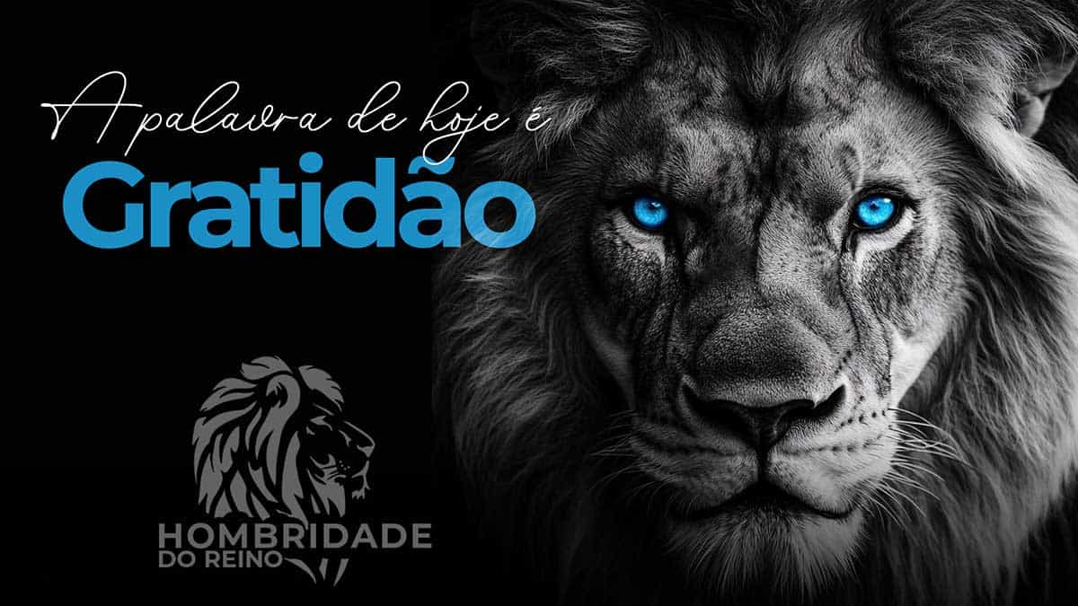 No momento, você está visualizando Gratidão