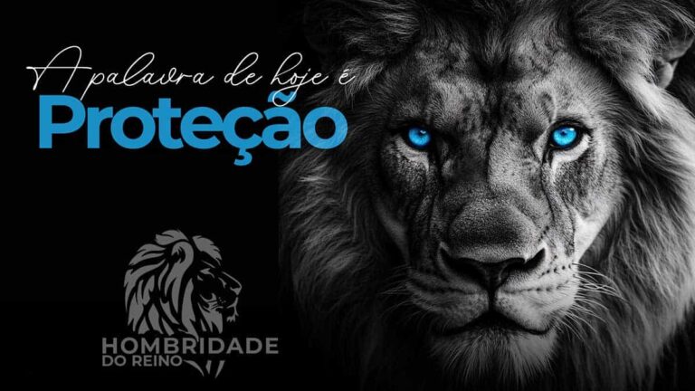 Leia mais sobre o artigo Proteção