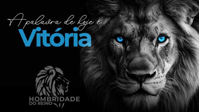 Leia mais sobre o artigo Vitória